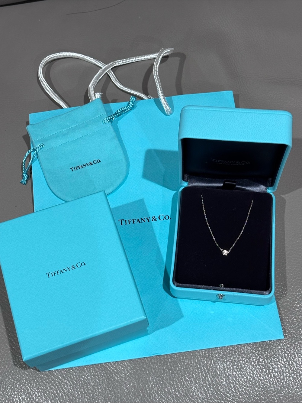 Tiffany Elsa Peretti Diamonds by the Yard pendant necklace in Platinum *new*